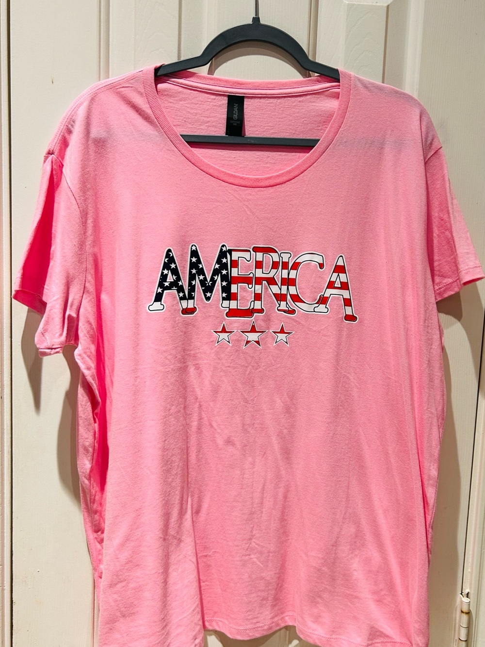 Gildan Pink AMERICA Graphic Short Sleeve Tee